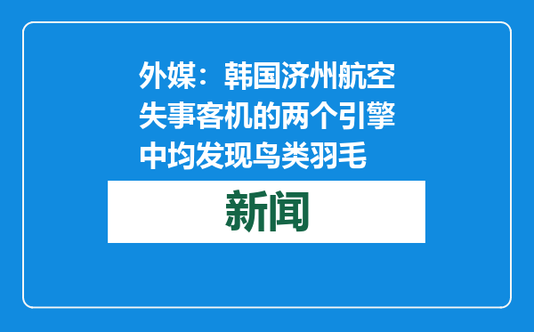 外媒：韩国济州航空失事客机的两个引擎中均发现鸟类羽毛