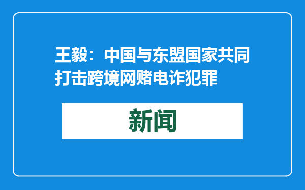 王毅：中国与东盟国家共同打击跨境网赌电诈犯罪