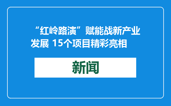 “红岭路演”赋能战新产业发展 15个项目精彩亮相