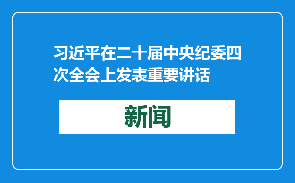 习近平在二十届中央纪委四次全会上发表重要讲话