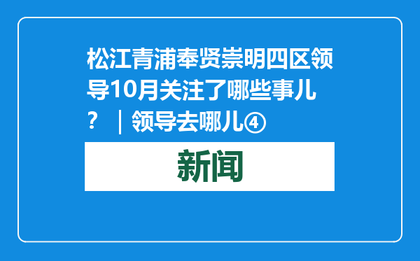 松江青浦奉贤崇明四区领导10月关注了哪些事儿？｜领导去哪儿④