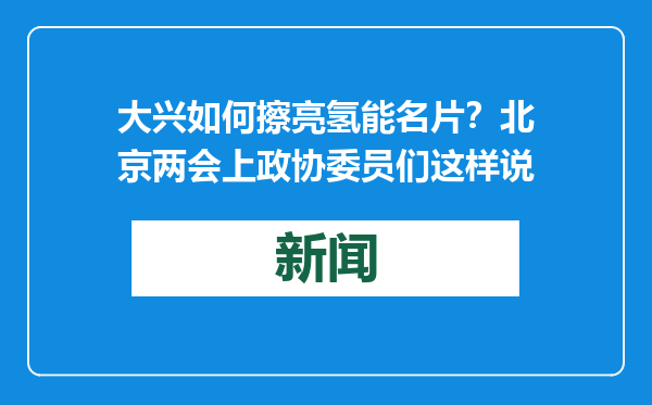 大兴如何擦亮氢能名片？北京两会上政协委员们这样说