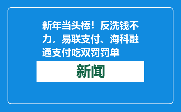 新年当头棒！反洗钱不力，易联支付、海科融通支付吃双罚罚单
