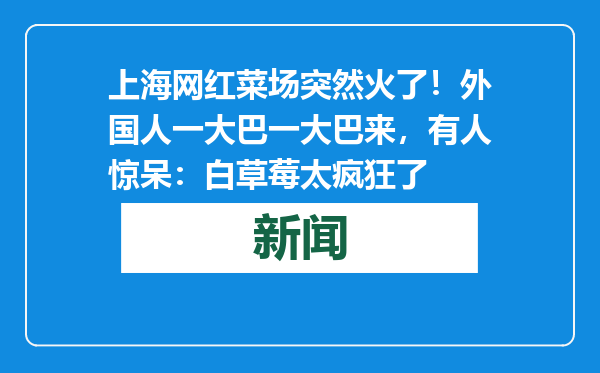 上海网红菜场突然火了！外国人一大巴一大巴来，有人惊呆：白草莓太疯狂了