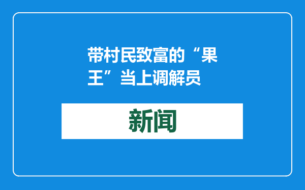 带村民致富的“果王”当上调解员
