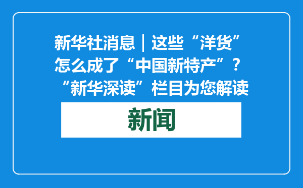 新华社消息｜这些“洋货”怎么成了“中国新特产”？“新华深读”栏目为您解读