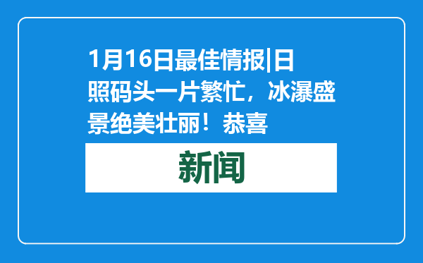 1月16日最佳情报|日照码头一片繁忙，冰瀑盛景绝美壮丽！恭喜