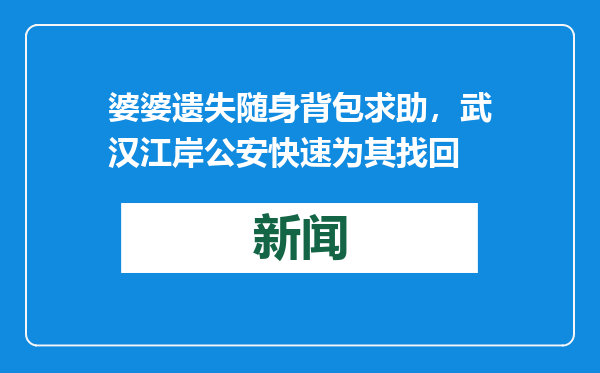 婆婆遗失随身背包求助，武汉江岸公安快速为其找回