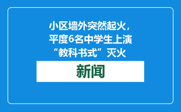 小区墙外突然起火，平度6名中学生上演“教科书式”灭火