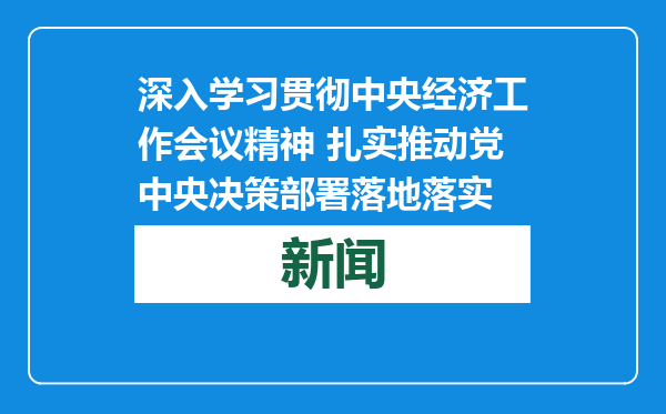 深入学习贯彻中央经济工作会议精神 扎实推动党中央决策部署落地落实