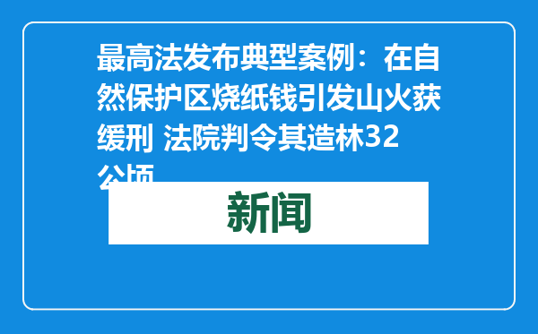 最高法发布典型案例：在自然保护区烧纸钱引发山火获缓刑 法院判令其造林32公顷