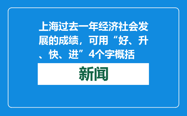 上海过去一年经济社会发展的成绩，可用“好、升、快、进”4个字概括