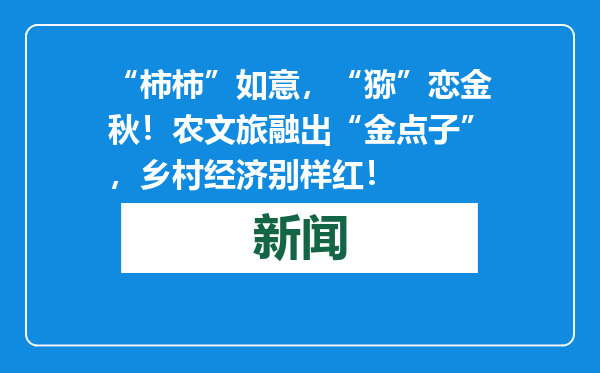 “柿柿”如意，“猕”恋金秋！农文旅融出“金点子”，乡村经济别样红！