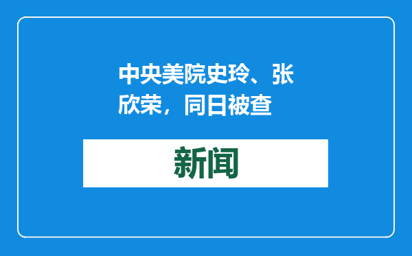 中央美院史玲、张欣荣，同日被查