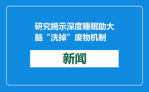 研究揭示深度睡眠助大脑“洗掉”废物机制