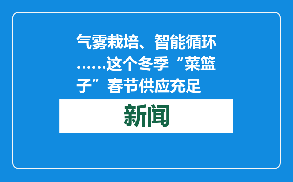 气雾栽培、智能循环……这个冬季“菜篮子”春节供应充足