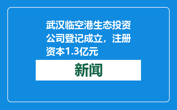 武汉临空港生态投资公司登记成立，注册资本1.3亿元