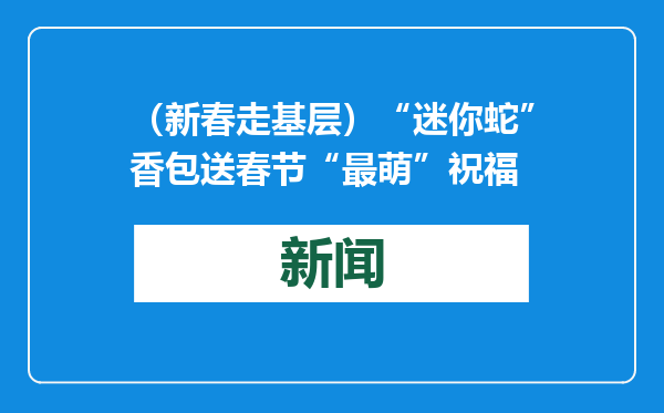 （新春走基层）“迷你蛇”香包送春节“最萌”祝福