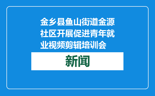 金乡县鱼山街道金源社区开展促进青年就业视频剪辑培训会