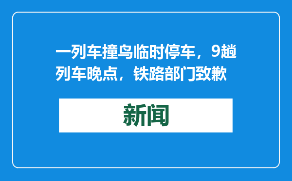一列车撞鸟临时停车，9趟列车晚点，铁路部门致歉