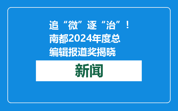 追“微”逐“治”！南都2024年度总编辑报道奖揭晓