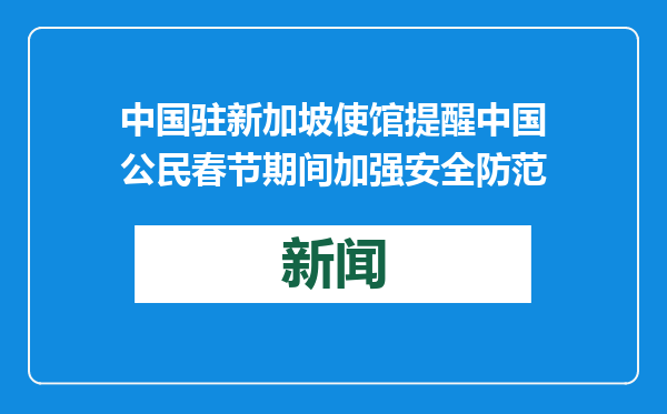 中国驻新加坡使馆提醒中国公民春节期间加强安全防范