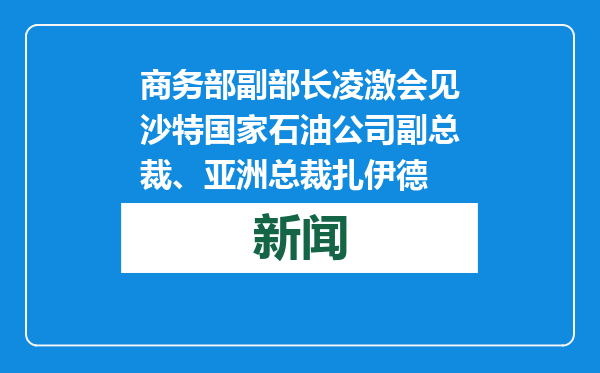 商务部副部长凌激会见沙特国家石油公司副总裁、亚洲总裁扎伊德