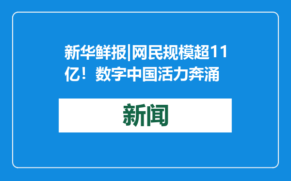 新华鲜报|网民规模超11亿！数字中国活力奔涌
