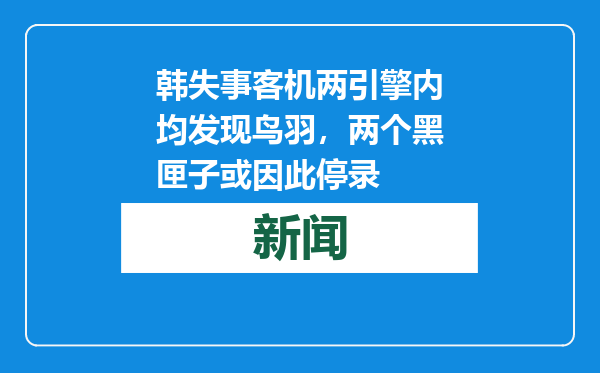 韩失事客机两引擎内均发现鸟羽，两个黑匣子或因此停录