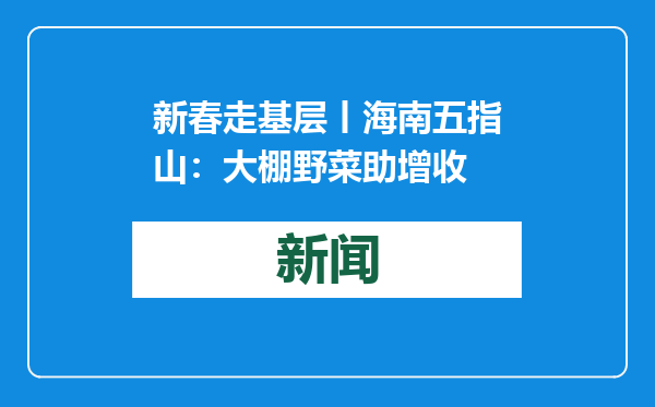 新春走基层丨海南五指山：大棚野菜助增收