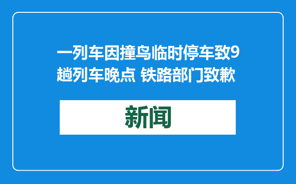 一列车因撞鸟临时停车致9趟列车晚点 铁路部门致歉
