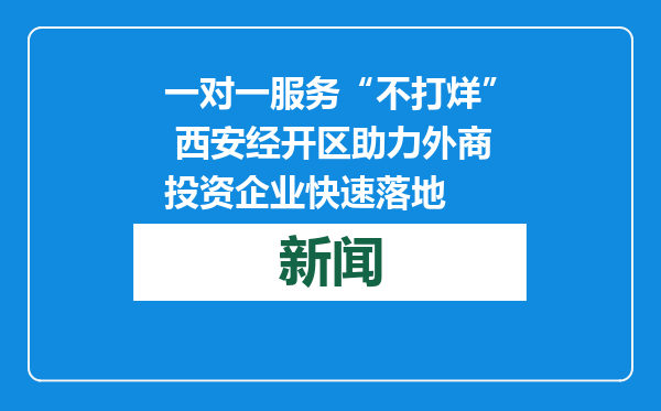 一对一服务“不打烊” 西安经开区助力外商投资企业快速落地