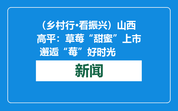 （乡村行·看振兴）山西高平：草莓“甜蜜”上市 邂逅“莓”好时光