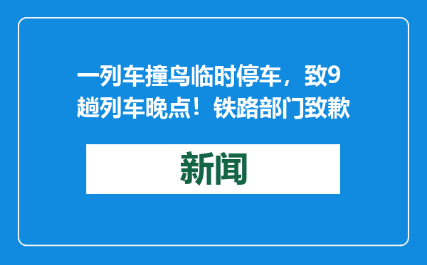 一列车撞鸟临时停车，致9趟列车晚点！铁路部门致歉