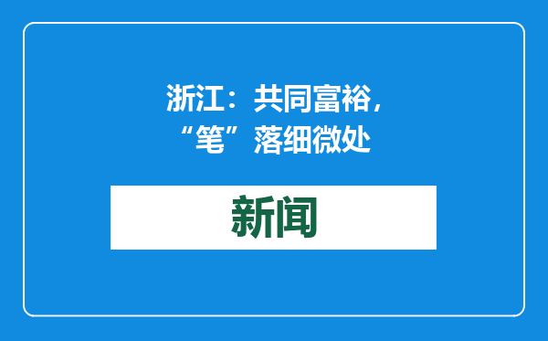 浙江：共同富裕，“笔”落细微处
