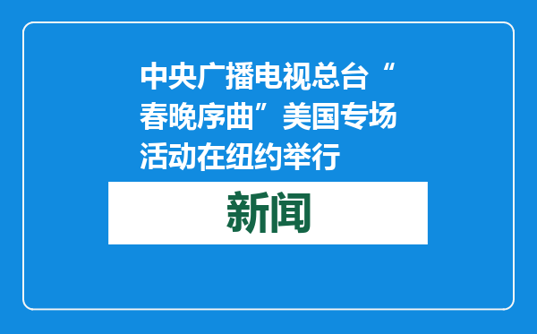 中央广播电视总台“春晚序曲”美国专场活动在纽约举行
