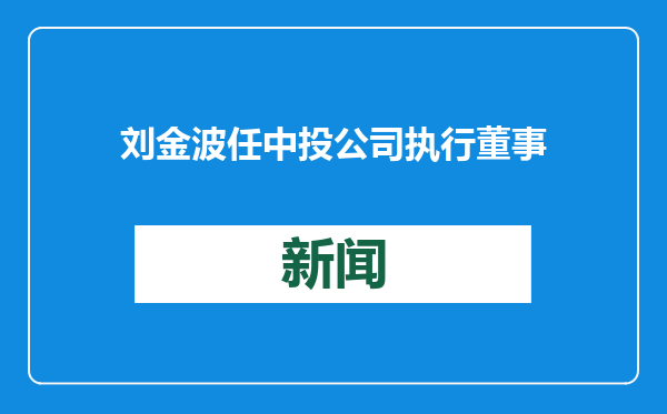 刘金波任中投公司执行董事