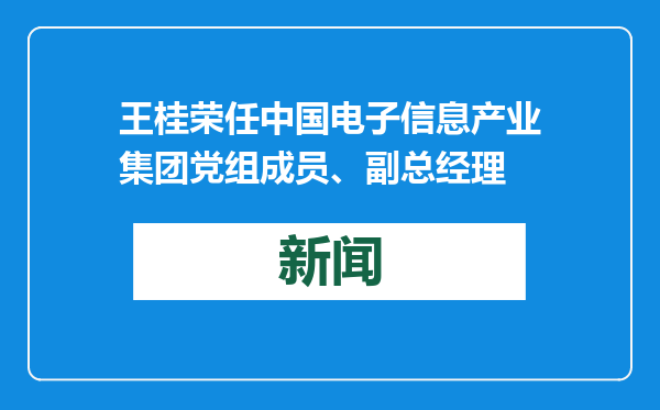 王桂荣任中国电子信息产业集团党组成员、副总经理