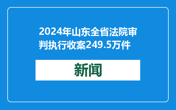 2024年山东全省法院审判执行收案249.5万件