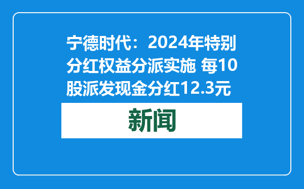 宁德时代：2024年特别分红权益分派实施 每10股派发现金分红12.3元