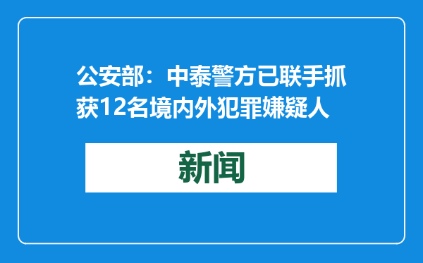 公安部：中泰警方已联手抓获12名境内外犯罪嫌疑人