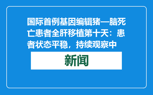 国际首例基因编辑猪—脑死亡患者全肝移植第十天：患者状态平稳，持续观察中