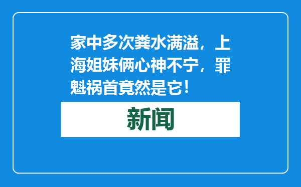 家中多次粪水满溢，上海姐妹俩心神不宁，罪魁祸首竟然是它！