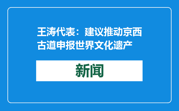 王涛代表：建议推动京西古道申报世界文化遗产