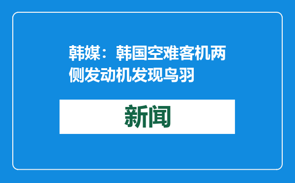 韩媒：韩国空难客机两侧发动机发现鸟羽