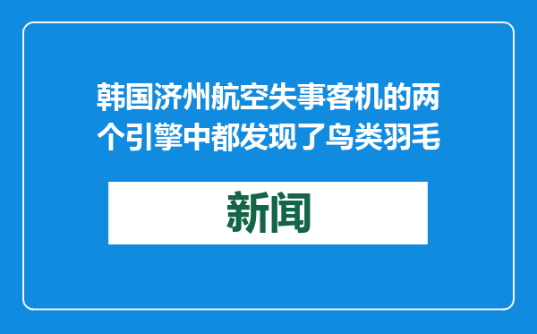韩国济州航空失事客机的两个引擎中都发现了鸟类羽毛