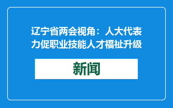 辽宁省两会视角：人大代表力促职业技能人才福祉升级