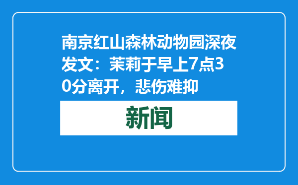 南京红山森林动物园深夜发文：茉莉于早上7点30分离开，悲伤难抑