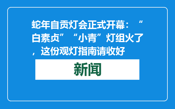 蛇年自贡灯会正式开幕：“白素贞”“小青”灯组火了，这份观灯指南请收好
