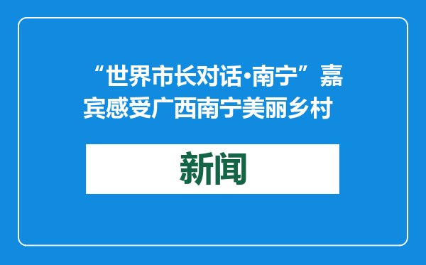 “世界市长对话·南宁”嘉宾感受广西南宁美丽乡村
